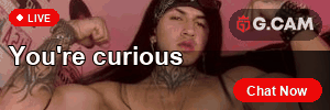 G.CAM 300×100 You're curious