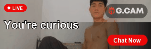 G.CAM 305×99 You're curious