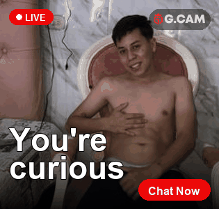 G.CAM 315×300 You're curious