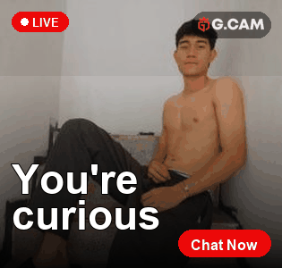 G.CAM 315×300 You're curious